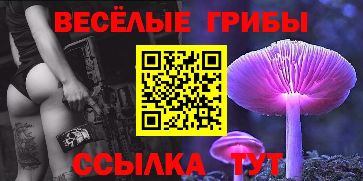 Галлюциногенные грибы Psilocybe Чусовой